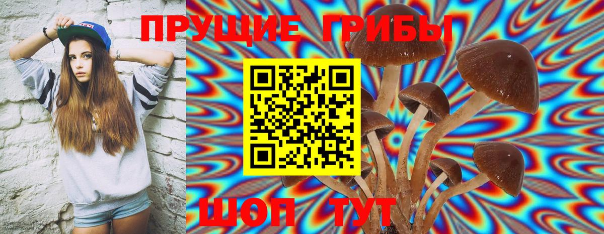 Галлюциногенные грибы Psilocybine cubensis  Вход с VPN  Боровичи 